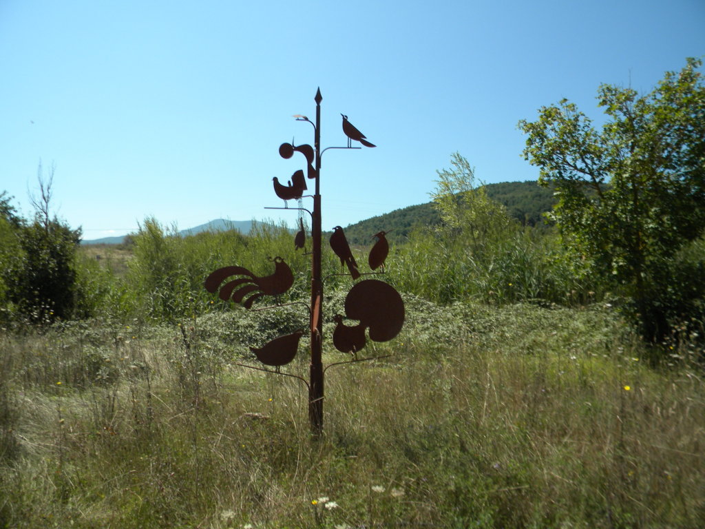 DSCN2713 .JPG